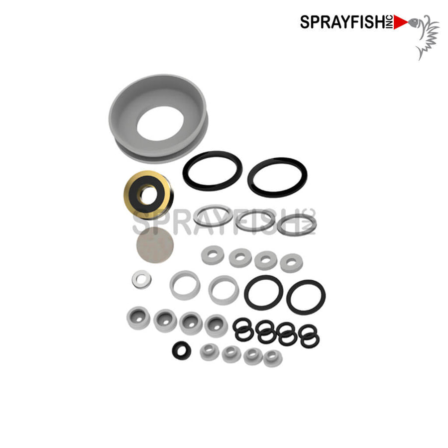 Dürr EcoGun AA Seal Kit