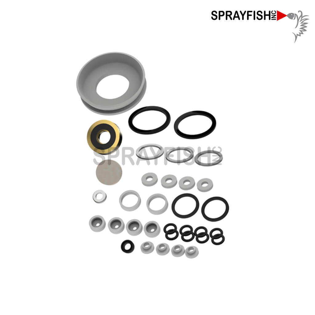 Dürr EcoGun AA Seal Kit