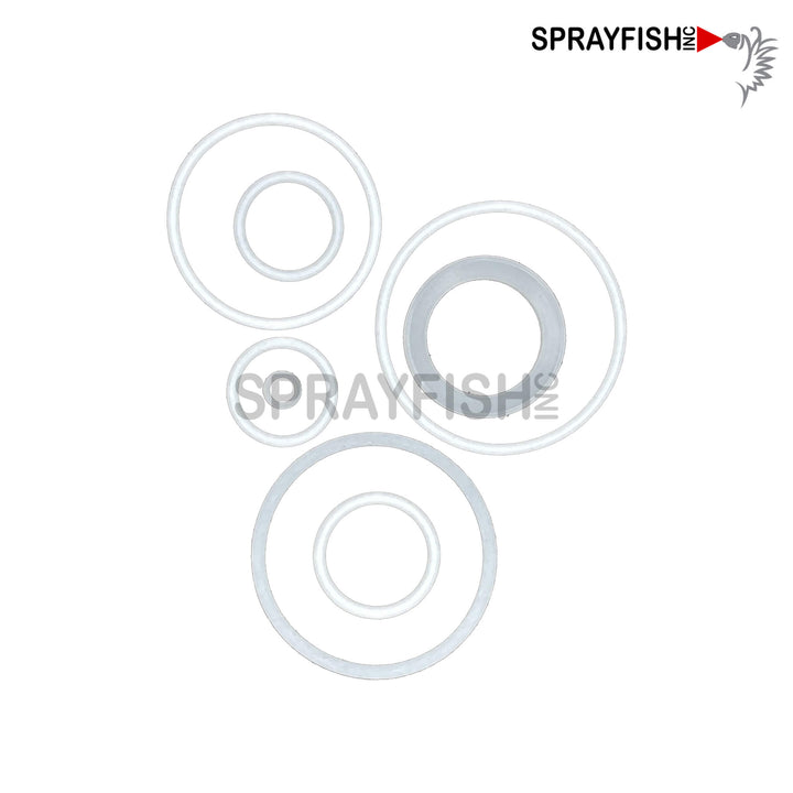 #C MSGS-200 PACKING SET